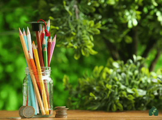 Yaşayan Safai Lisans Bursu Yönergesi