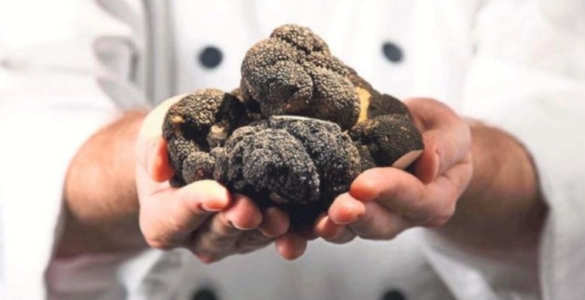 SOSYETENİN SİYAH ELMASI BURS OLACAK