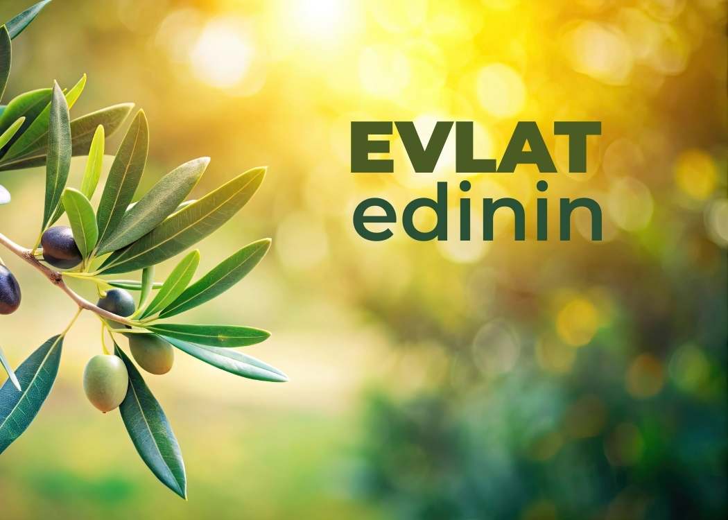 EVLAT EDİNİN