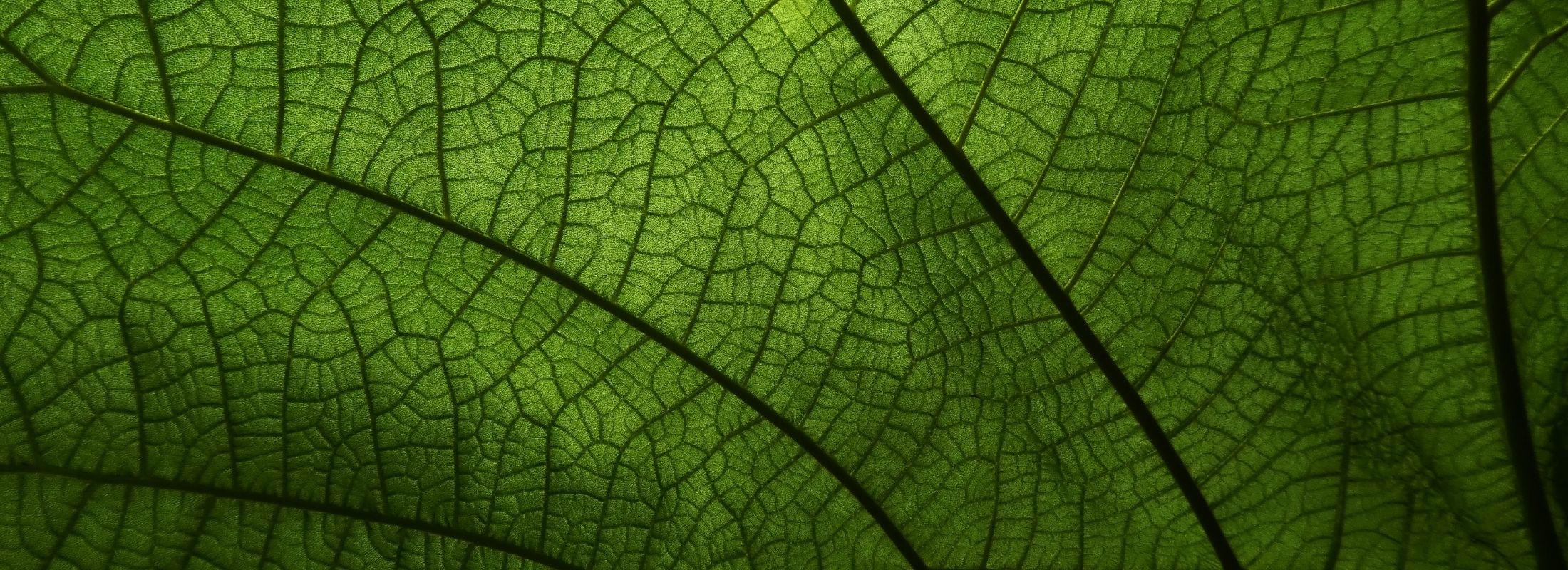 BANKA HESAP BİLGİLERİMİZ