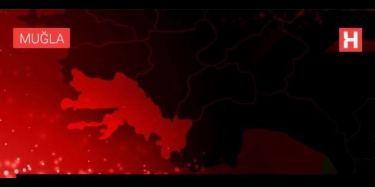 PROCEEDS OF OLIVES COLLECTED BY FARMERS BECOME SCHOLARSHIPS FOR STUDENTS