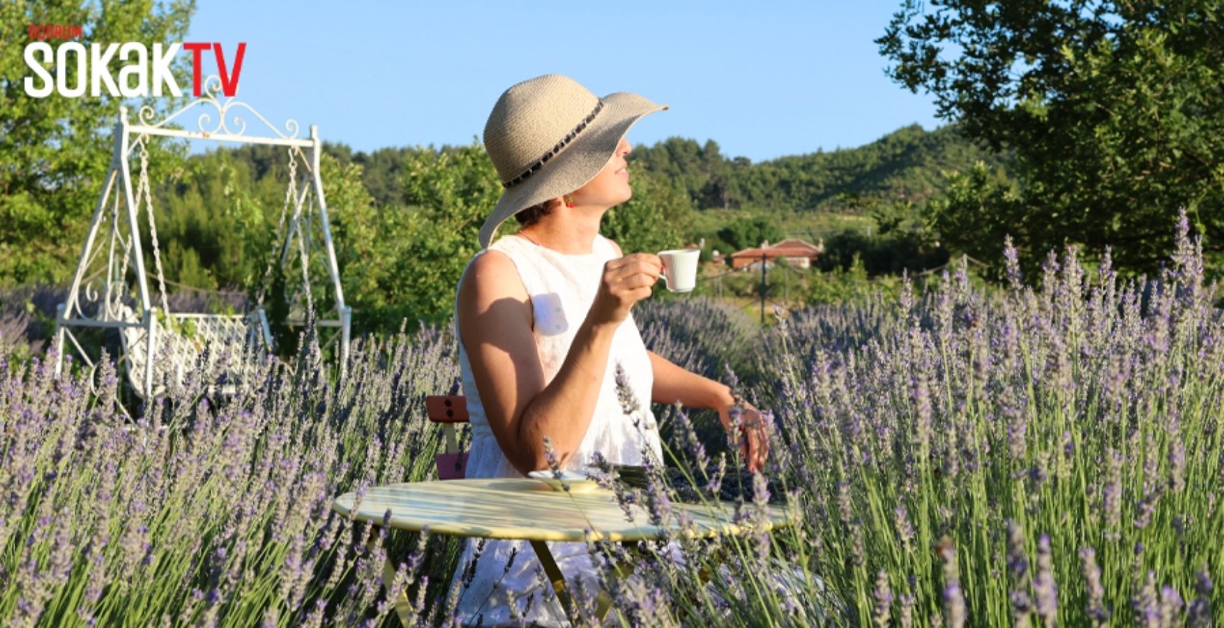 DEDICATED TO EDUCATION AND NATURE: EGET ORGANIC LAVENDER ESSENTIAL OIL