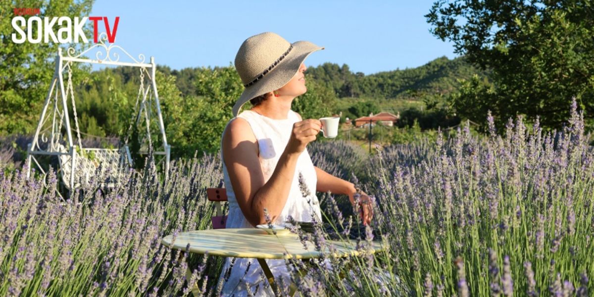 DEDICATED TO EDUCATION AND NATURE: EGET ORGANIC LAVENDER ESSENTIAL OIL