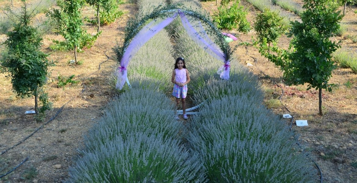 EGET VAKFI, TARIMDAN ELDE ETTİĞİ KATMA DEĞERLE ÖĞRENCİLERİ DESTEKLİYOR