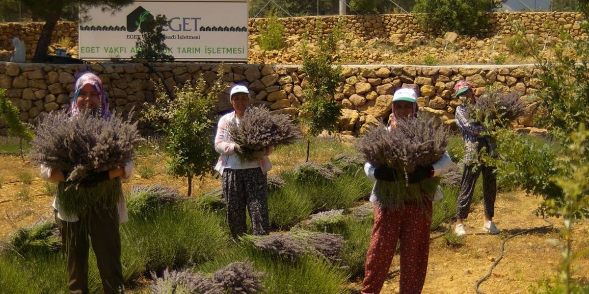 ÖĞRENCİLERE LAVANTA KOKULU BURS GELİYOR